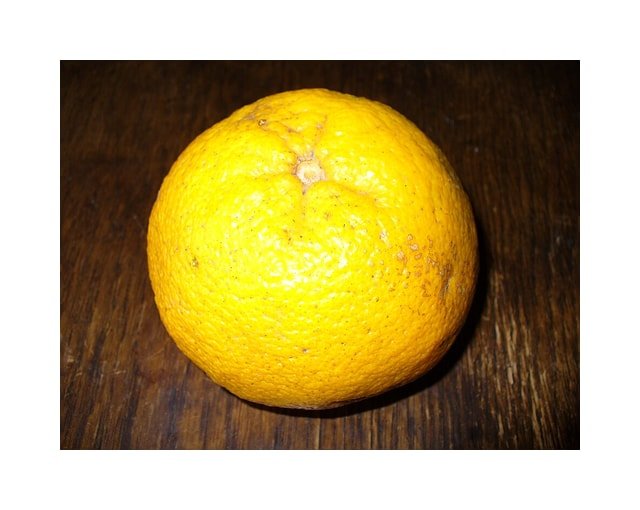 Ugli Fruit