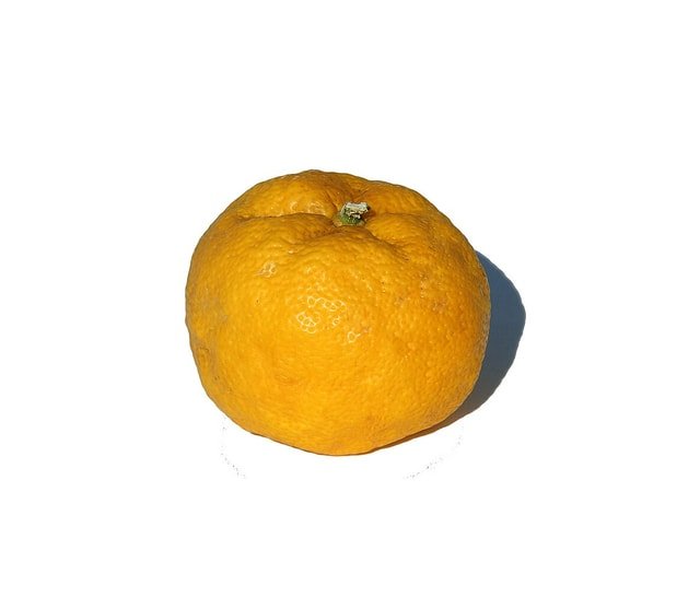 Yuzu Citrus