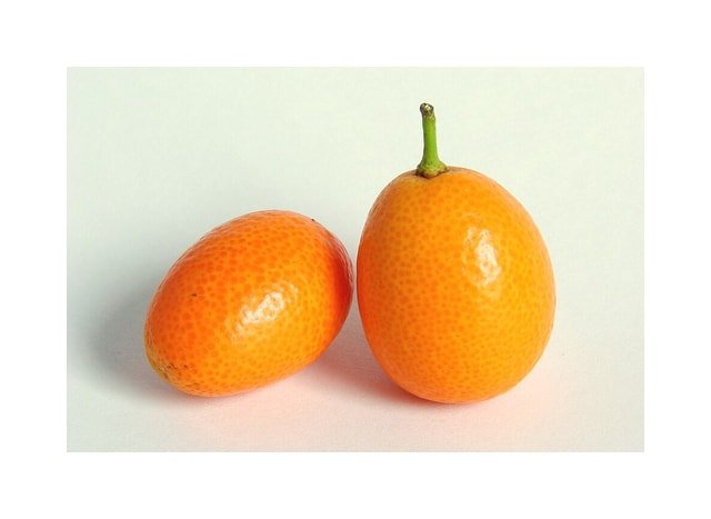 Kumquat