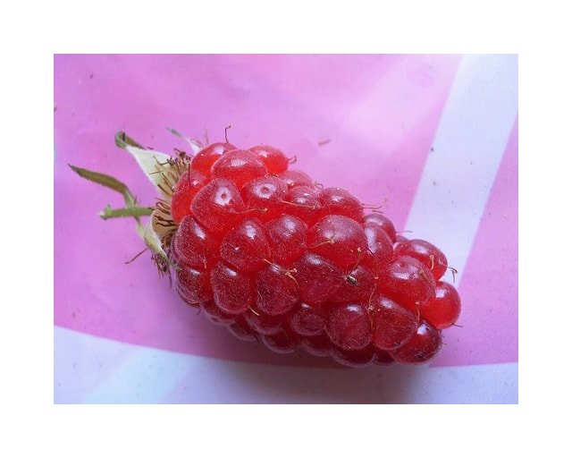 Tayberry
