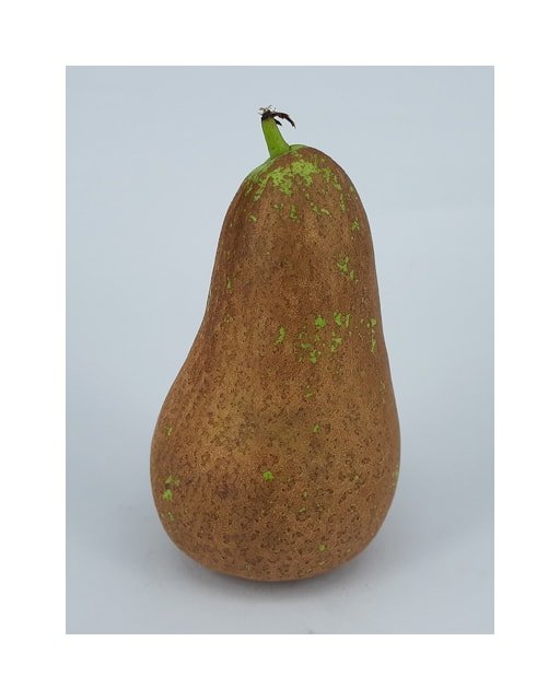 Conference Pear