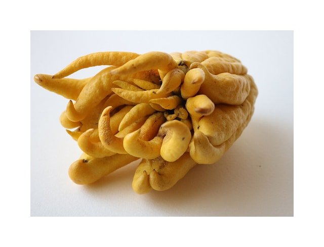 Buddha Hand Citron